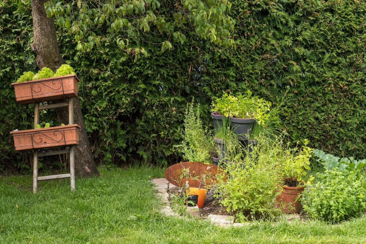 Ferienwohnung Zobl Füssen Zewnętrze zdjęcie