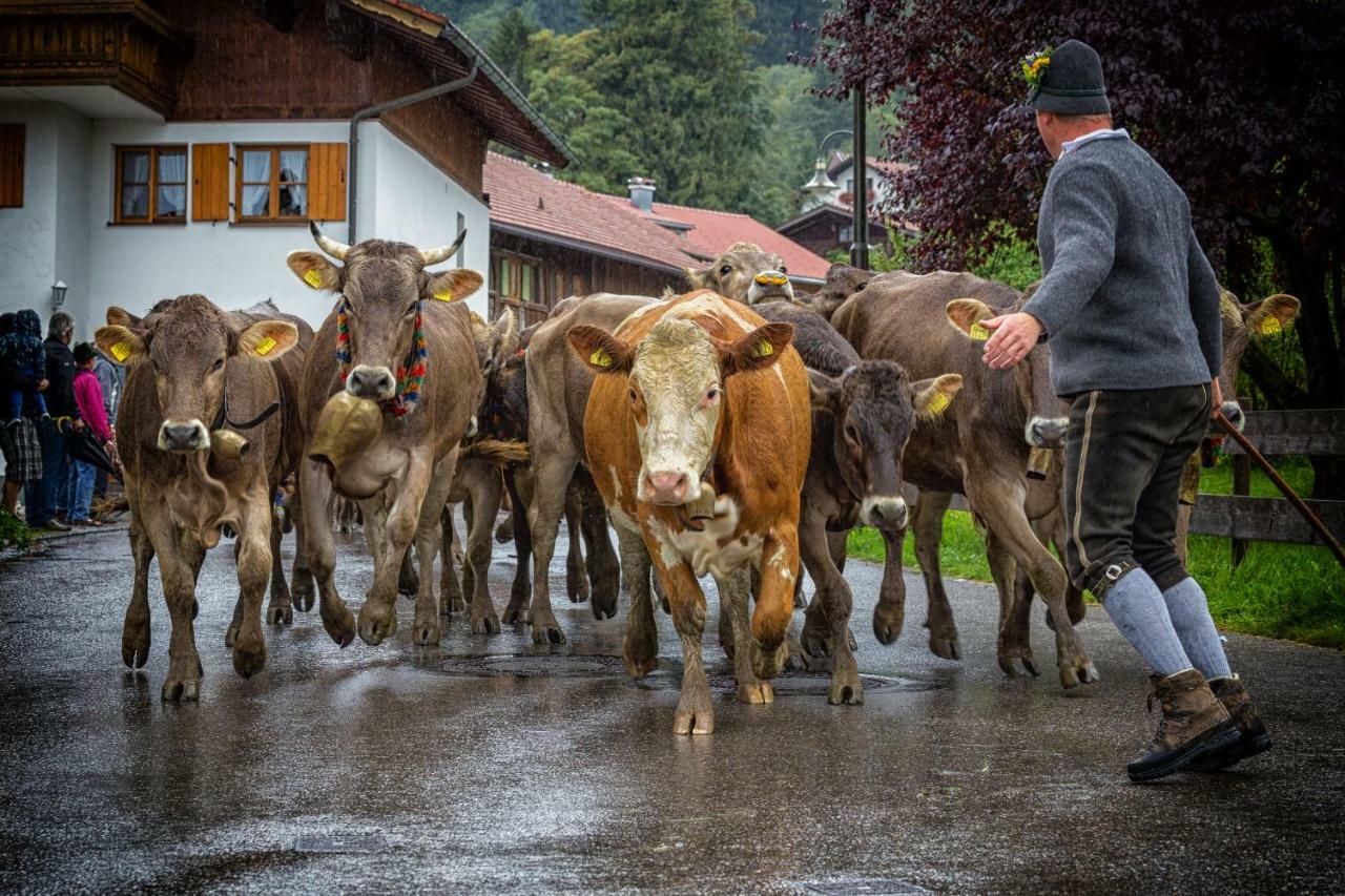 Ferienwohnung Zobl Füssen Zewnętrze zdjęcie